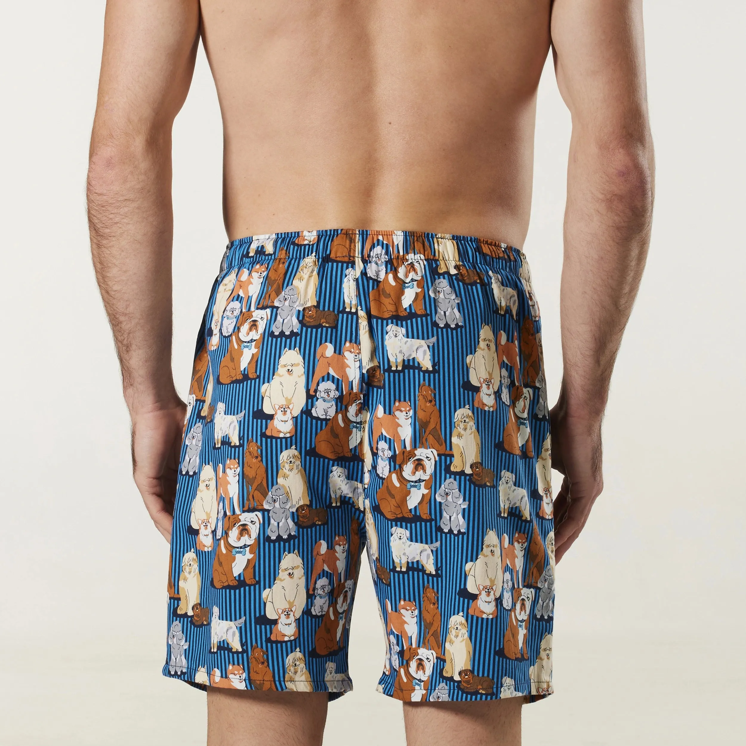 Men's Dog Stripe Cotton Sleep Shorts - Blue