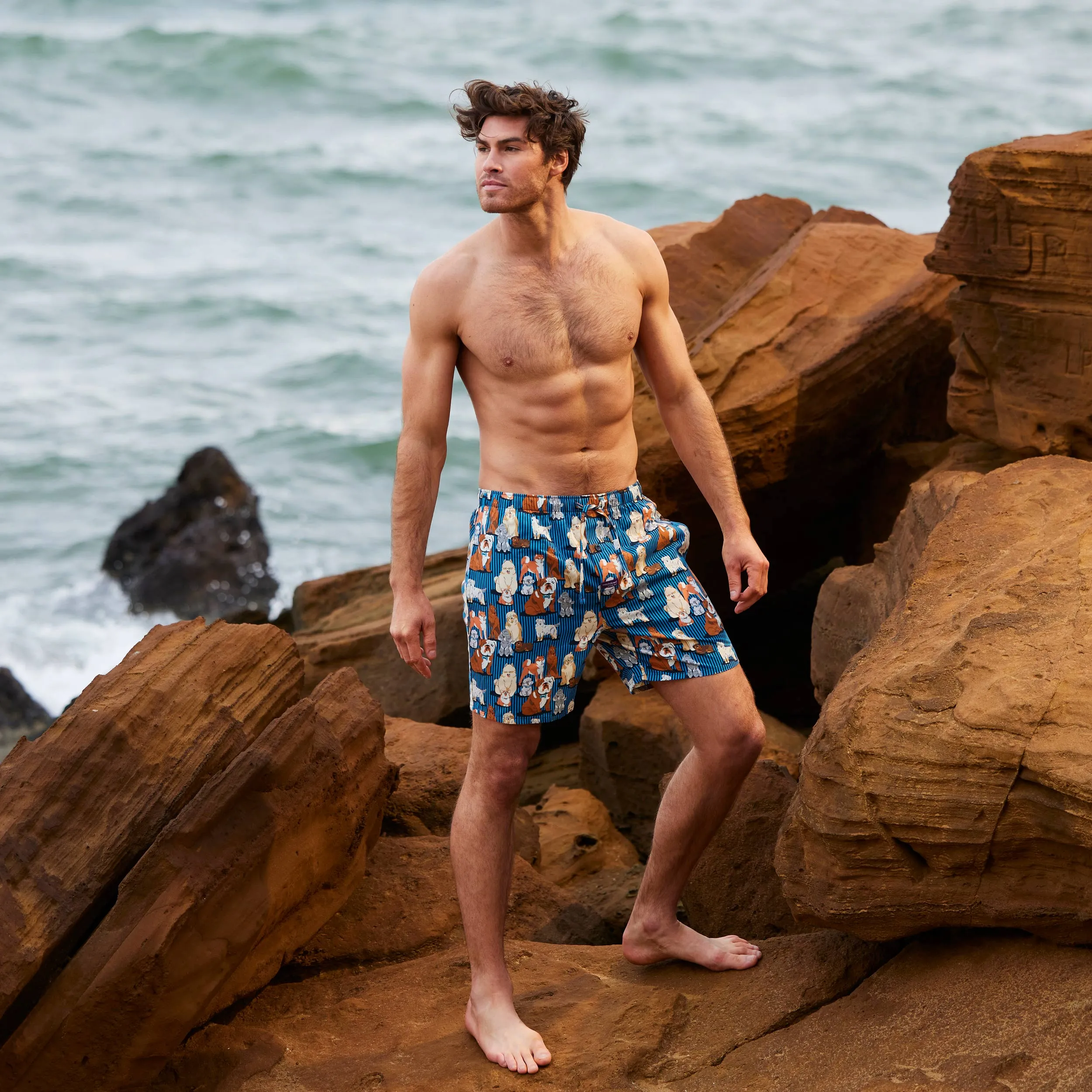 Men's Dog Stripe Cotton Sleep Shorts - Blue